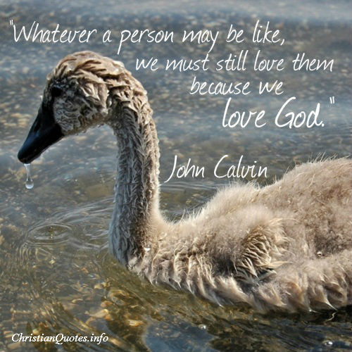 John Calvin Quote - Love God  ChristianQuotes.info