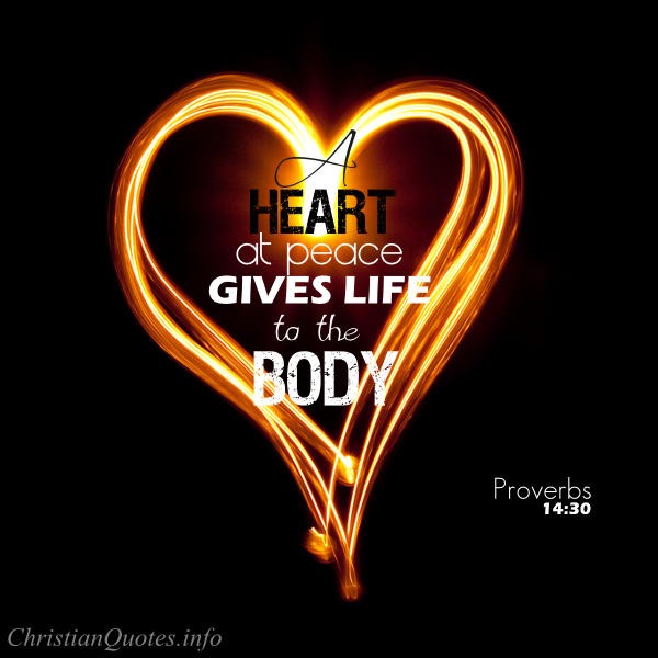 Proverbs 14 30 Bible Verse Life To The Body ChristianQuotes info