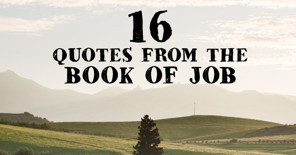16 Quotes From The Book Of Job Famous Bible Scriptures