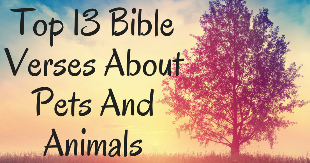 Top 13 Bible Verses About Pets And Animals