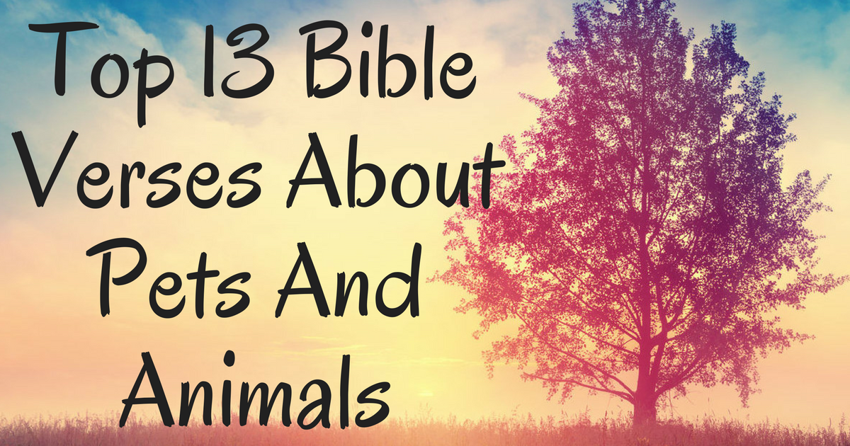 Top 13 Bible Verses About Pets And Animals 