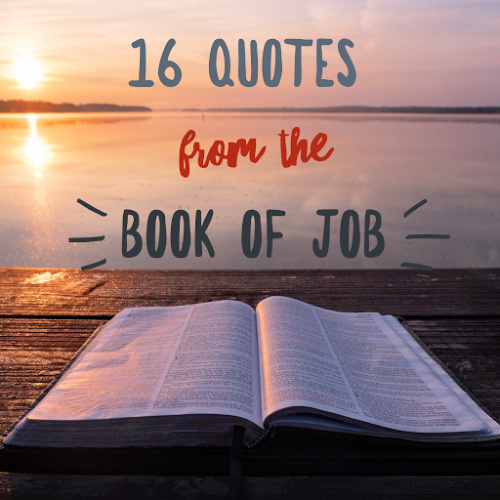 16 Quotes From The Book Of Job – Famous Bible Scriptures