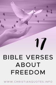17 Bible verses about freedom pinterest image