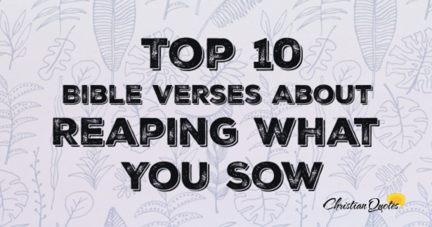 Top 10 Bible Verses About Reaping What You Sow | ChristianQuotes.info