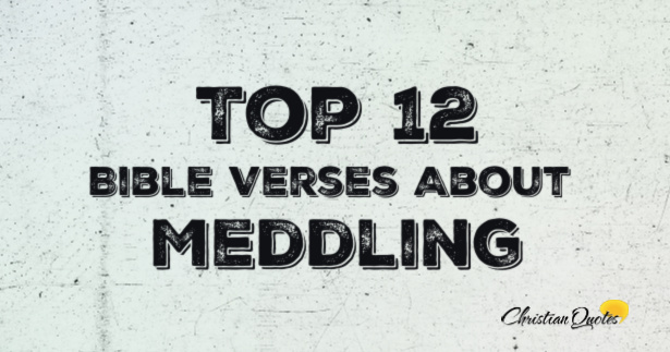 Top 12 Bible Verses About Meddling | ChristianQuotes.info